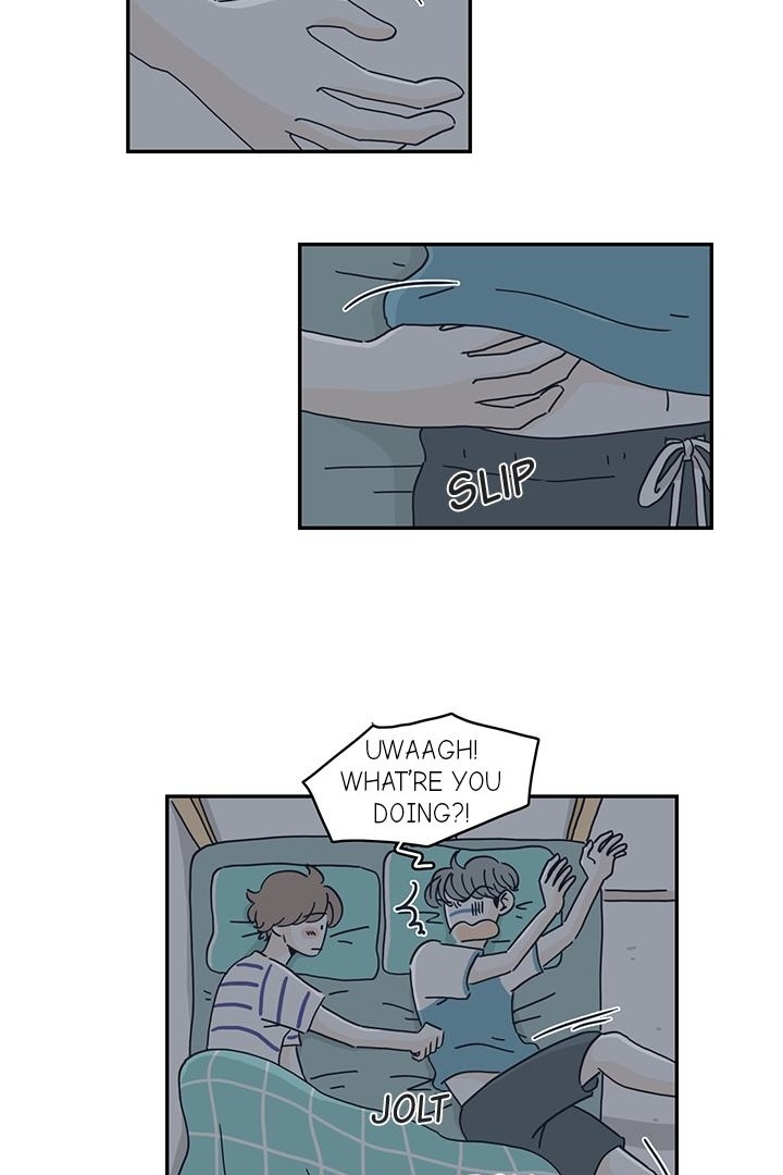 65115130 720 1080 116490